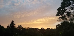 Florence Park - photo 51
