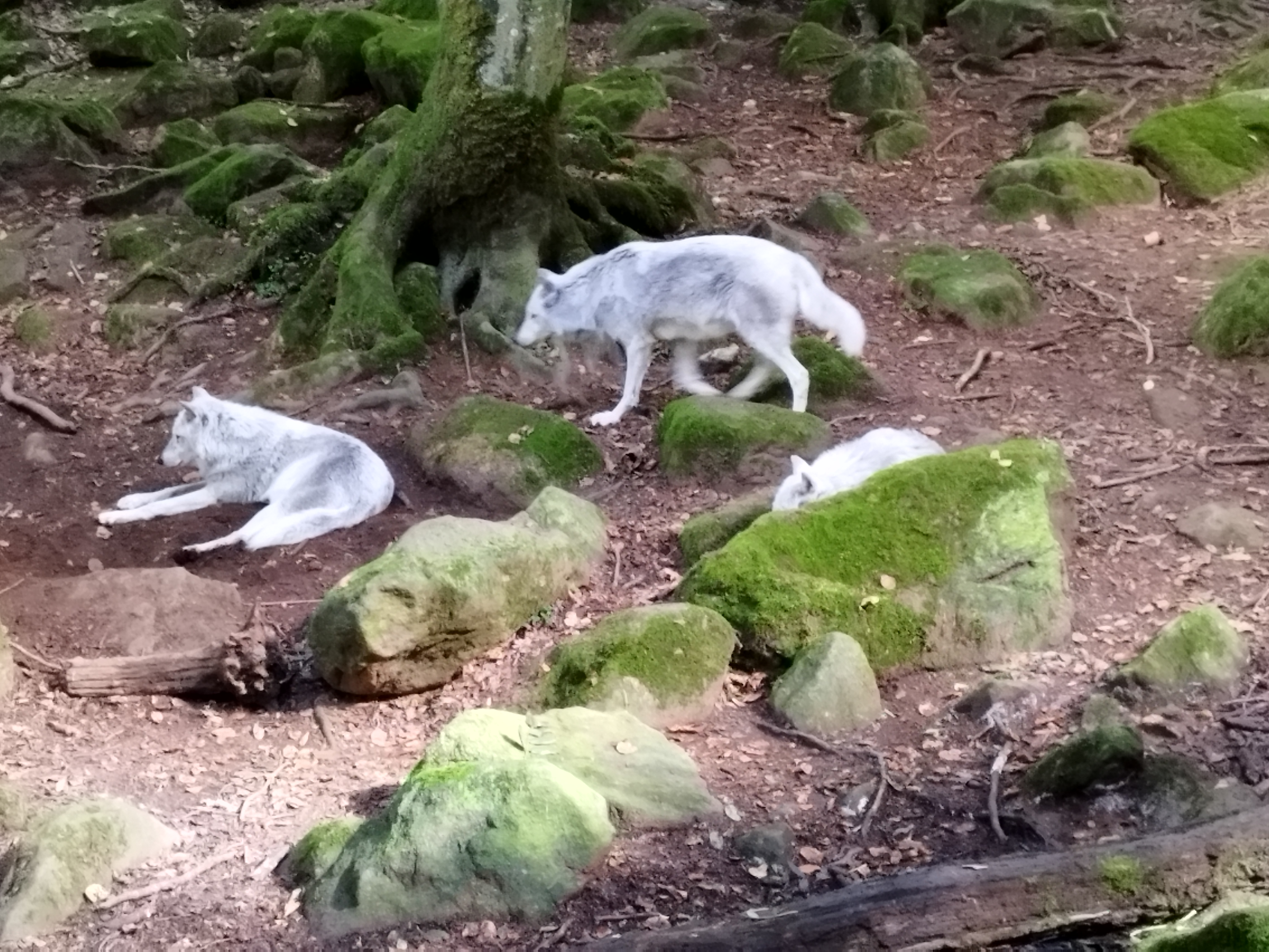 Photo n° 2 de l'avis de Jean-Baptiste.c fait le 10/10/2022 à 06:18