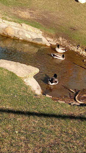 Grocery Store «Family Fare Supermarket», reviews and photos, 425 Main St W, Cannon Falls, MN 55009, USA