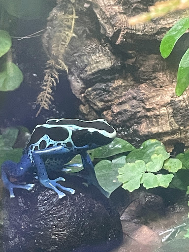 Pet Store «Birds & Beasts Pet Shop», reviews and photos, 35 Berkshire Dr # 18, Crystal Lake, IL 60014, USA