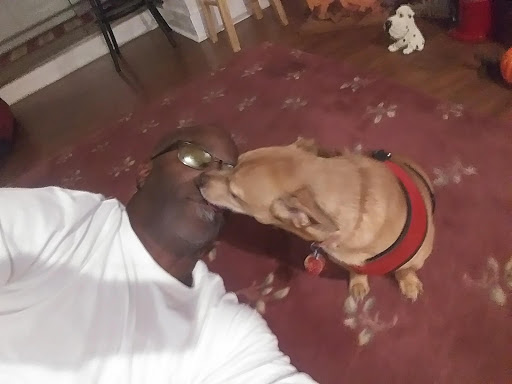 Pet Supply Store «Pet Supplies Plus», reviews and photos, 1519 Lititz Pike, Lancaster, PA 17601, USA