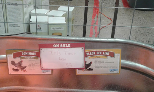 Home Improvement Store «Tractor Supply Co.», reviews and photos, 4724 Penn Ave a, Reading, PA 19608, USA