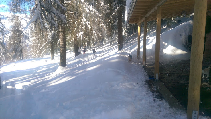 Cottage Refuge de montagne Rifugio Bellano 23835 Artesso-Letee