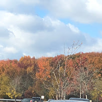 Regal Celebration V - Photo 9 - Car repair in Delran, NJ, Trenton