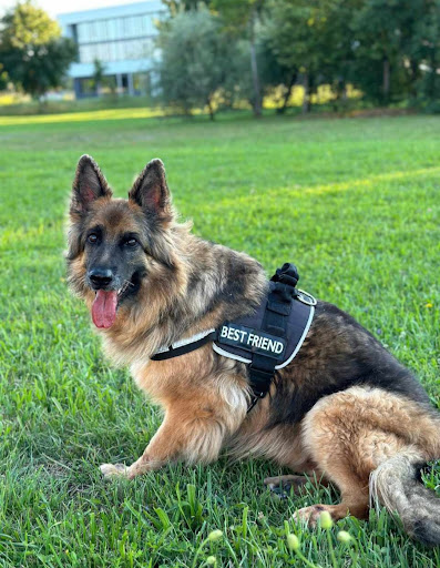 Tiergesundheitszentrum Stadtbergen unter Stadtbergen, Bayern