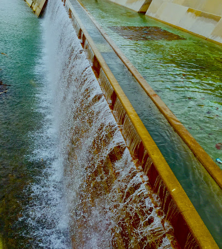 Park «Louisville Waterfront Park (Great Lawn, Harbor Lawn, Festival Plaza)», reviews and photos, 231 Witherspoon St, Louisville, KY 40202, USA