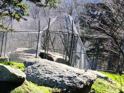 Tourist Attraction «Mile High Swinging Bridge», reviews and photos, US 221 and Blue Ridge parkway, Linville, NC 28646, USA