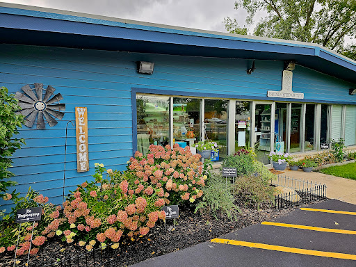 Costello Shawn M DVM image