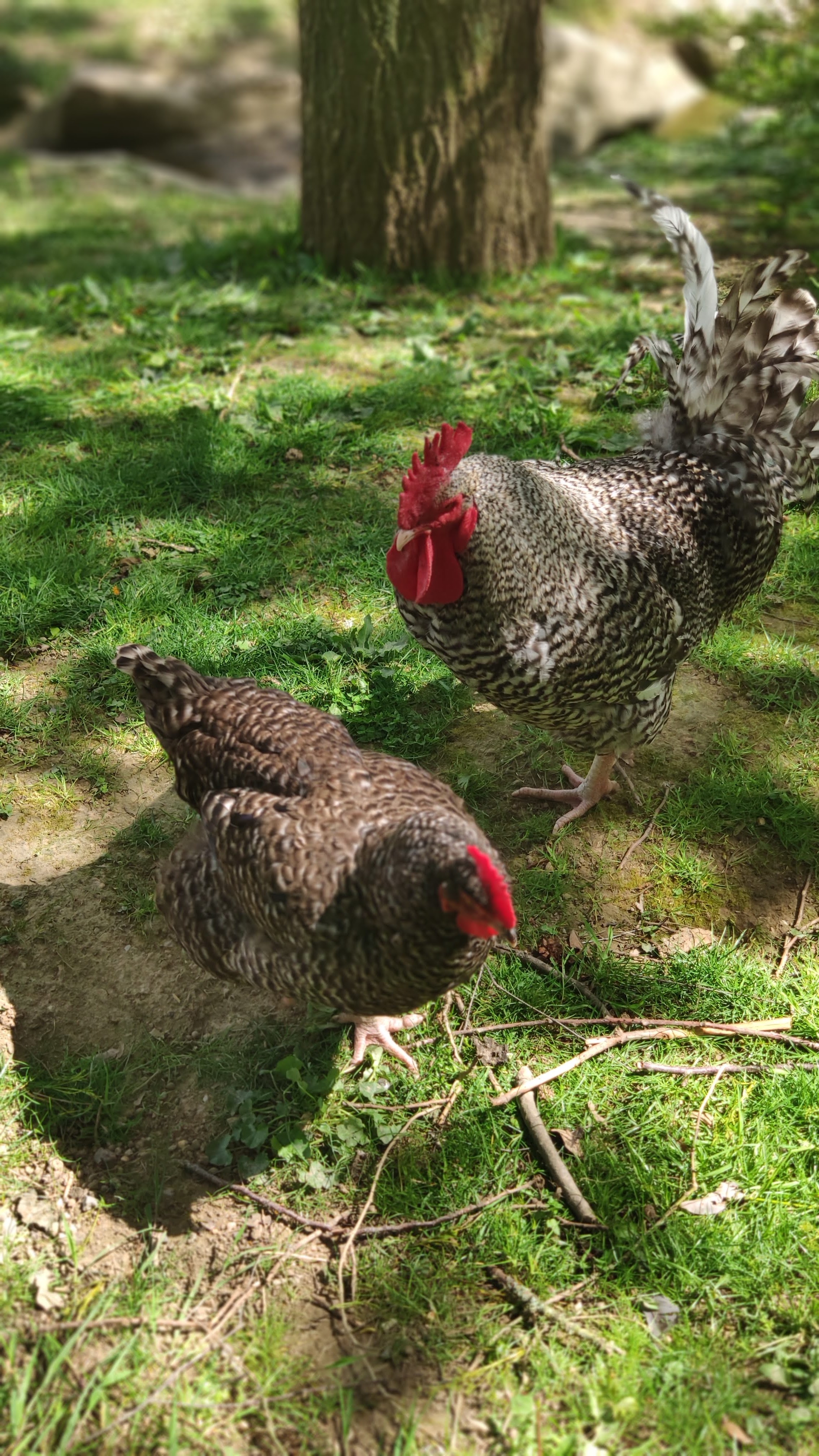 Photo n° 7 de l'avis de laurent.e fait le 17/04/2019 à 13:38