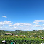 Photo n°1 de l'avis de Febo.a fait le 30/08/2020 à 14:39 sur le  Agriturismo Calice Dei Cherubini à Santa Maria della Versa