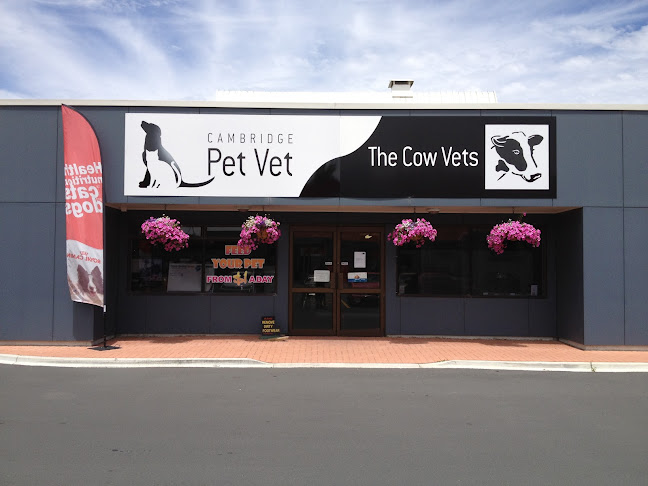 Reviews of Cambridge Pet Vet & The Cow Vets in Cambridge - Veterinarian