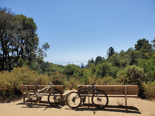 Soquel Demonstration State Forest image