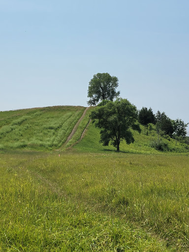 Nature Preserve «Oakhurst Forest Preserve», reviews and photos, 1680 5th Ave, Aurora, IL 60504, USA
