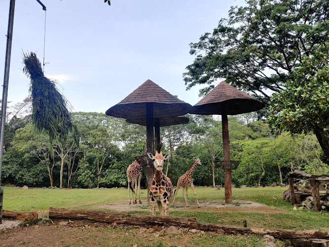 The Grand Taman Safari Prigen Jawa Timur