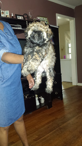 Pet Supply Store «PetSmart», reviews and photos, 1986 Mt Zion Rd, Morrow, GA 30260, USA