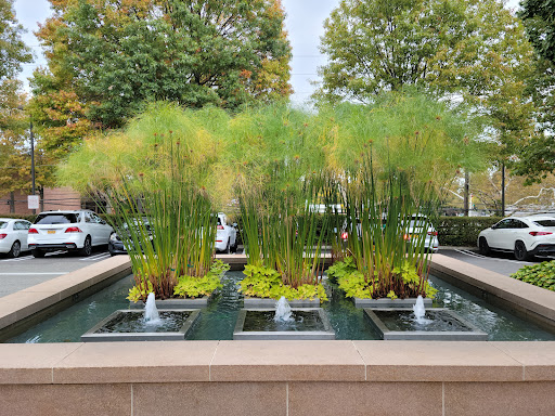 Shopping Mall «Americana Manhasset», reviews and photos, 2060 Northern Blvd, Manhasset, NY 11030, USA