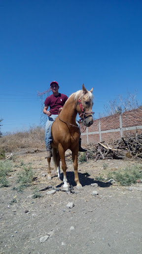 Cuadra Pompa