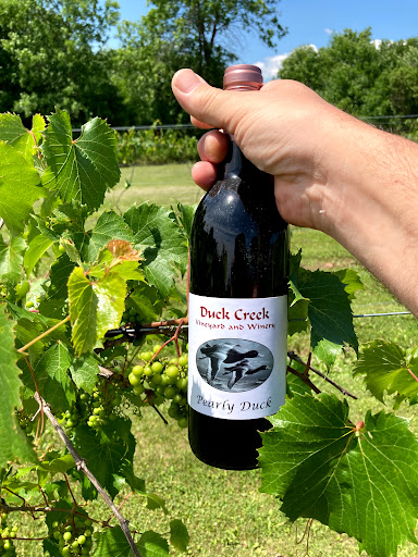 Winery «Duck Creek Vineyard & Winery», reviews and photos, 5046 County Rd R, Denmark, WI 54208, USA