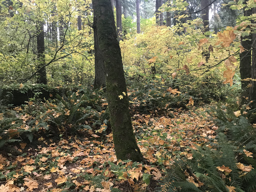 Tourist Attraction «NatureScaping Wildlife Botanical Gardens», reviews and photos, 11000 NE 149th St, Brush Prairie, WA 98606, USA