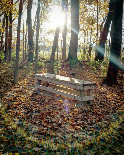 Park «Macgregor Park», reviews and photos, Macgregor Park Rd, Westfield, IN 46074, USA