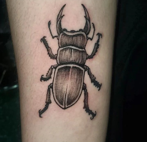 Explore disc golf tattoo ideas, creative tattoo ideas in Vancouver, available at Studio X Tattoos & Piercings