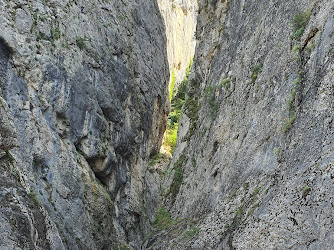 Harmankaya Kanyonu Tabiat Parkı