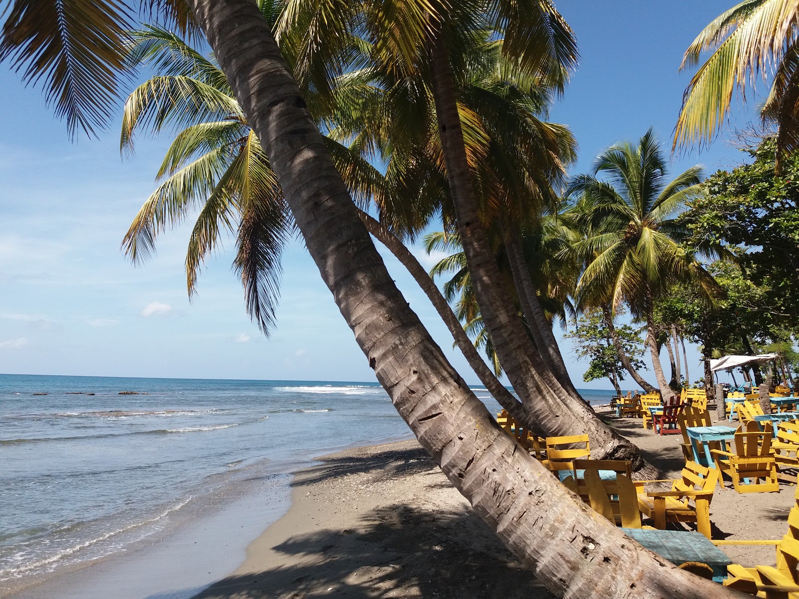 Fotografija Palenque beach z prostorna obala