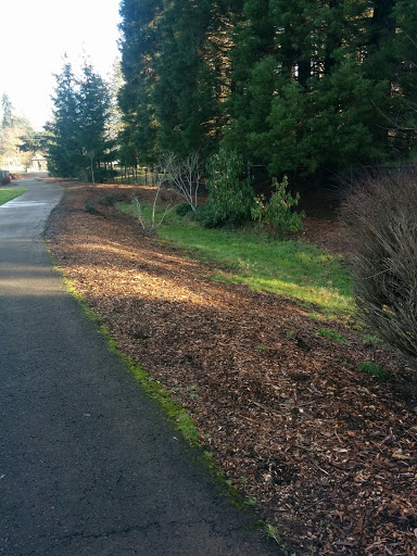 Park «Reedville Creek Park», reviews and photos, 7500 SE Frances St, Hillsboro, OR 97123, USA