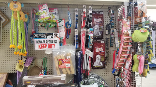 Thrift Store «Goodwill Ruskin Sun Point Store», reviews and photos