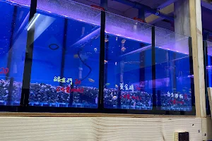 微風水族館 image