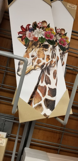 Department Store «T.J. Maxx», reviews and photos, 321 Collins Rd NE, Cedar Rapids, IA 52404, USA