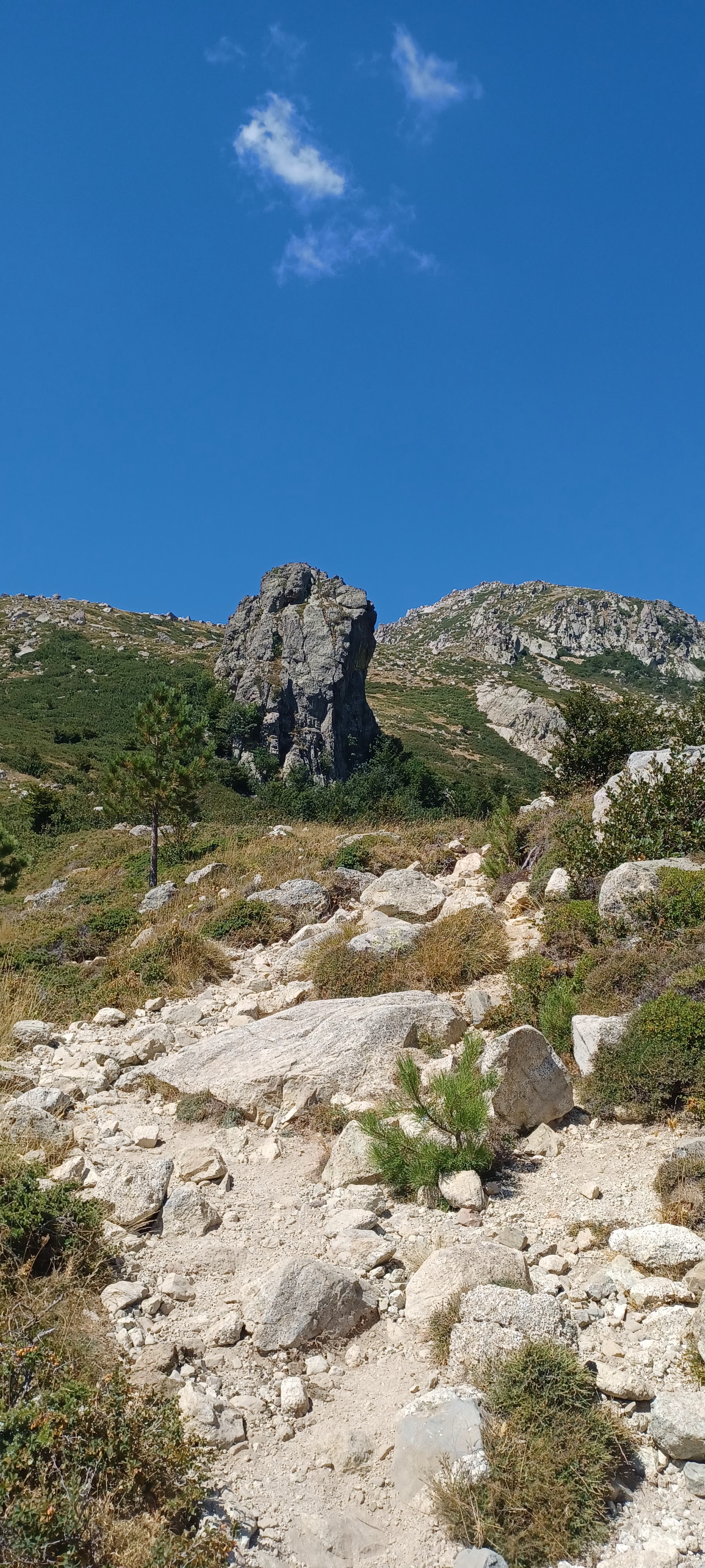 Photo n° 6 de l'avis de Celine.E fait le 17/08/2023 à 14:55
