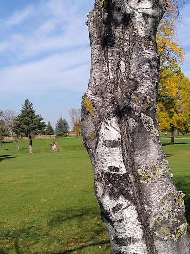 Public Golf Course «Shamrock Golf Course», reviews and photos, 19625 Larkin Rd, Corcoran, MN 55340, USA