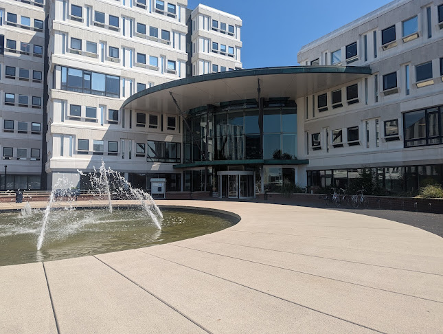 VluchtelingenWerk Juridisch: Leeuwarden - Vereniging