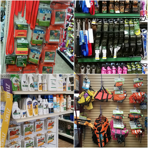 Pet Store «Crystal Clear Family Pets», reviews and photos, 33 High St, Ellsworth, ME 04605, USA