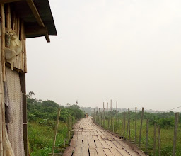 Olayemi Park photo