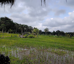 Pangkon Bali Resto & Agrotourism photo