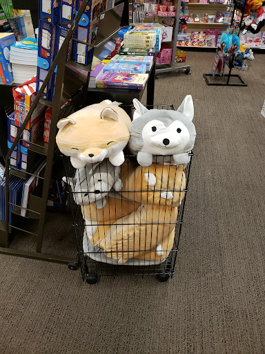 Book Store «Books-A-Million», reviews and photos, 12801 W Sunrise Blvd #297, Sunrise, FL 33323, USA