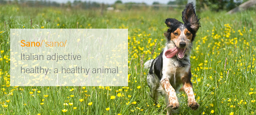 10903 US-285 e105, Conifer, CO 80433, USA