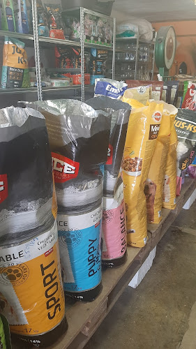 Takarmány és Galambászbolt Szőny - volt TSz udvar - Wonderpaint Kft - Bolt