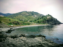 Φωτογραφία του Playa Barranco de Enmedio - δημοφιλές μέρος μεταξύ λάτρεις της χαλάρωσης
