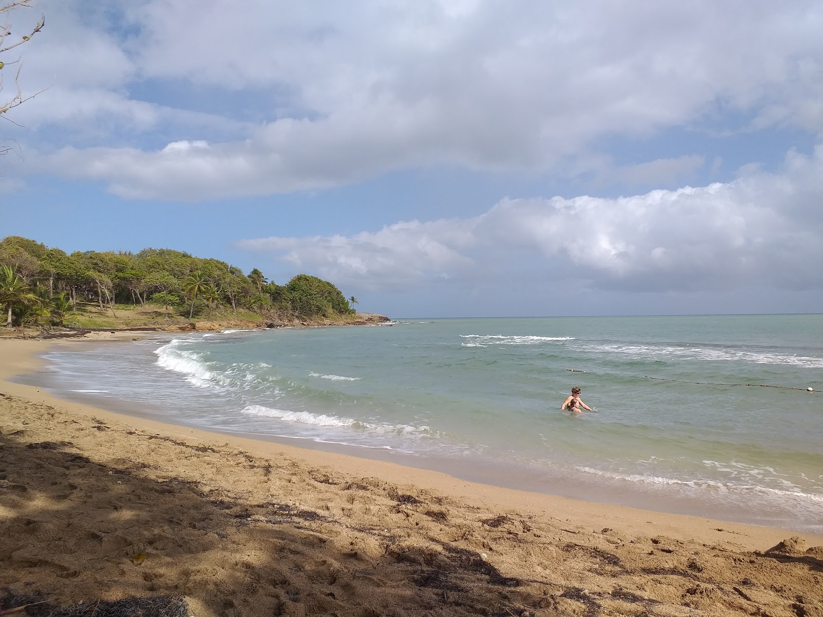 Fotografie cu Anse Vinty Beach zonă sălbatică
