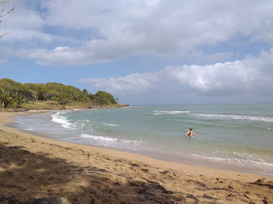Anse Vinty Beach