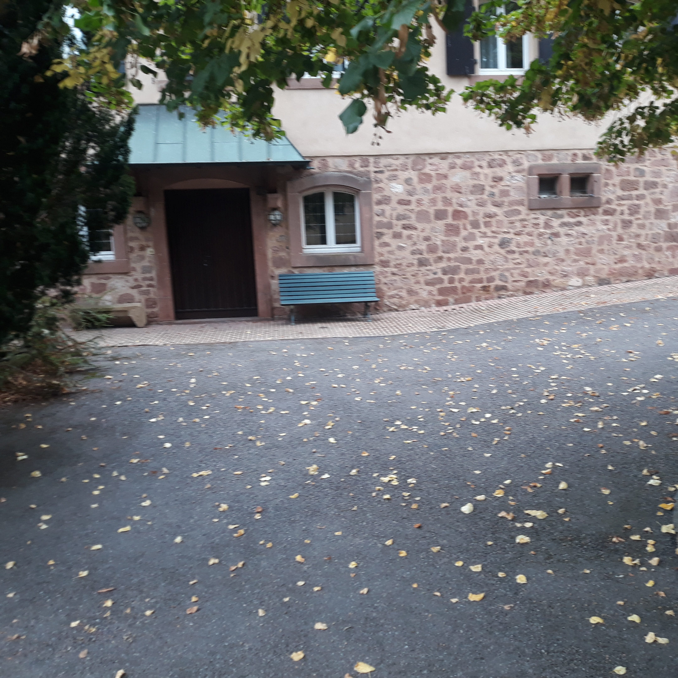 Photo n° 9 de l'avis de Rainer.e fait le 05/10/2023 à 12:31