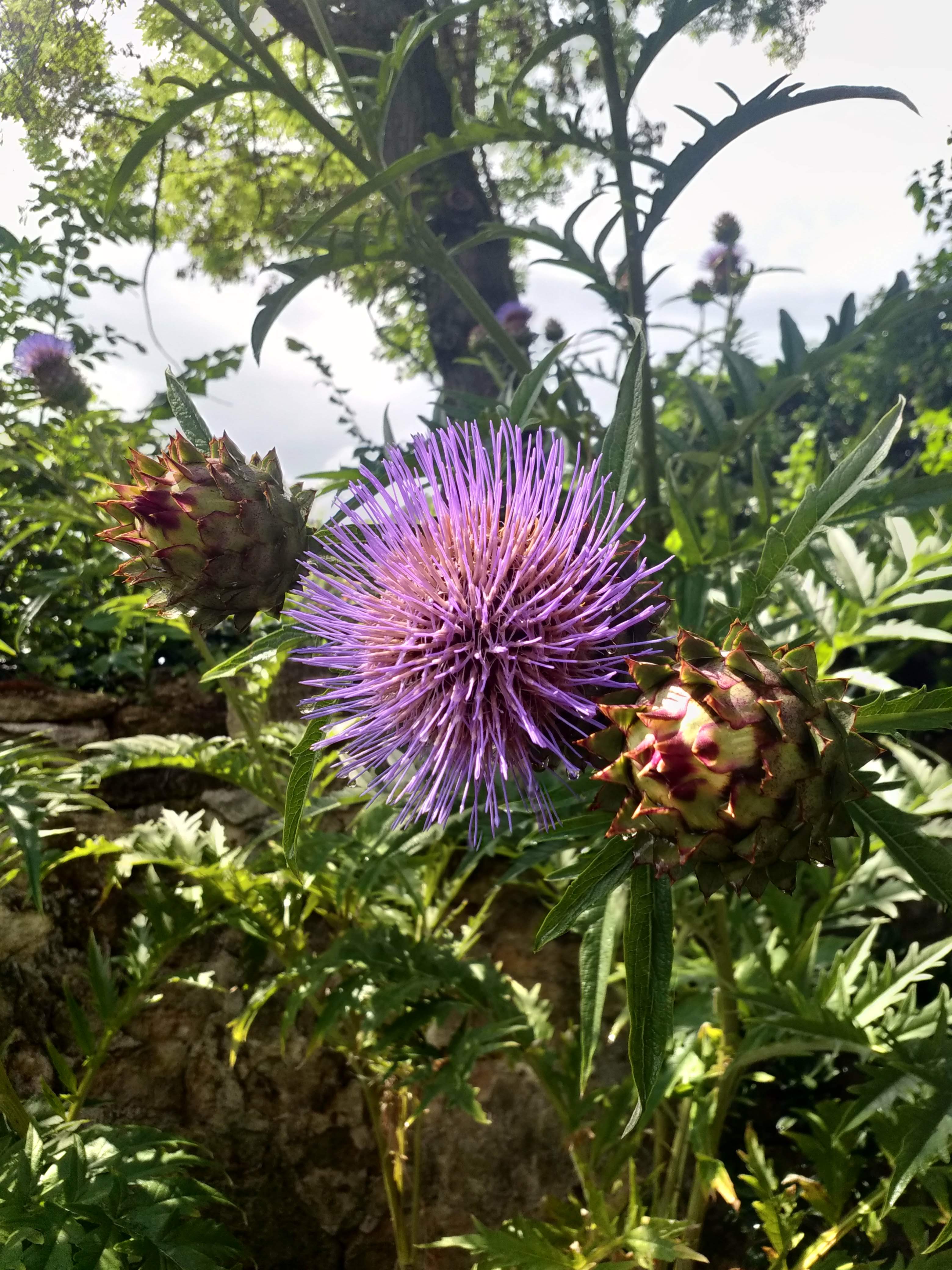 Photo n° 5 de l'avis de Françoise.E fait le 30/07/2021 à 07:18