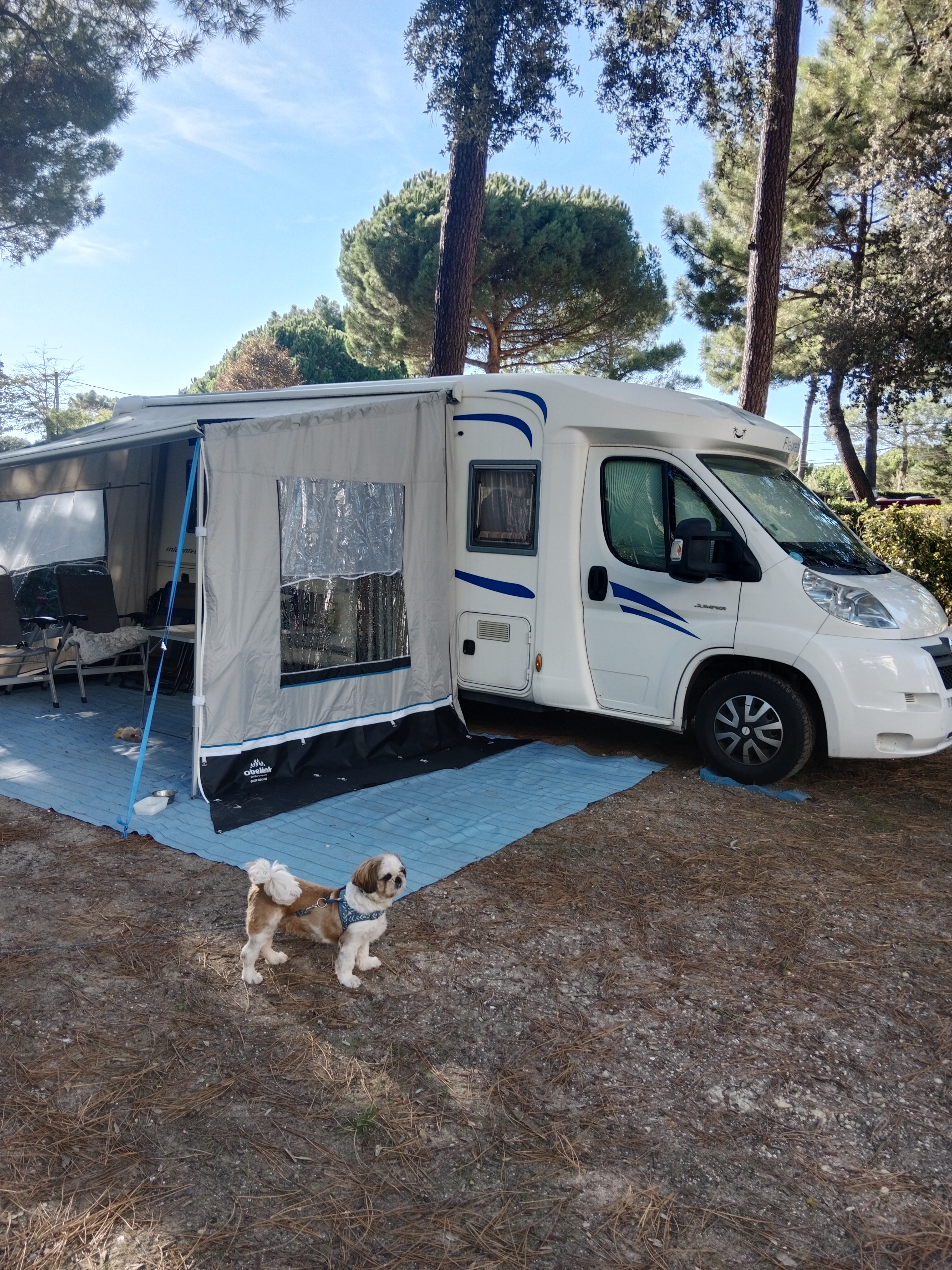 Photo n° 1 de l'avis de Perales.e fait le 25/09/2023 à 13:22