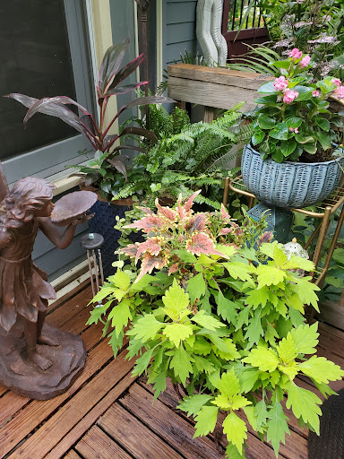 Home Improvement Store «The Home Depot», reviews and photos, 15800 Grove Cir N, Maple Grove, MN 55369, USA