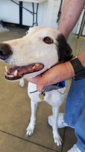 Pet Supply Store «Centinela Feed & Pet Supplies», reviews and photos, 22840 Hawthorne Blvd, Torrance, CA 90505, USA