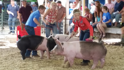 Fairground «Owen County Fairgrounds», reviews and photos, S East St, Spencer, IN 47460, USA