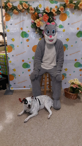 Pet Supply Store «PetSmart», reviews and photos, 1050 McKinley Pl Dr #30, San Marcos, TX 78666, USA